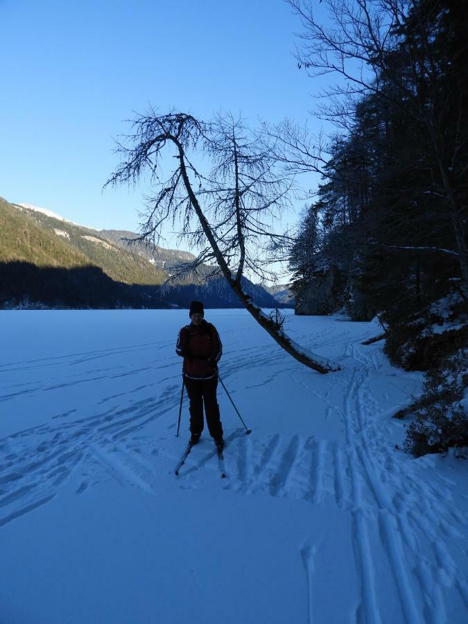 Apartment Haus Waldblick Weissensee