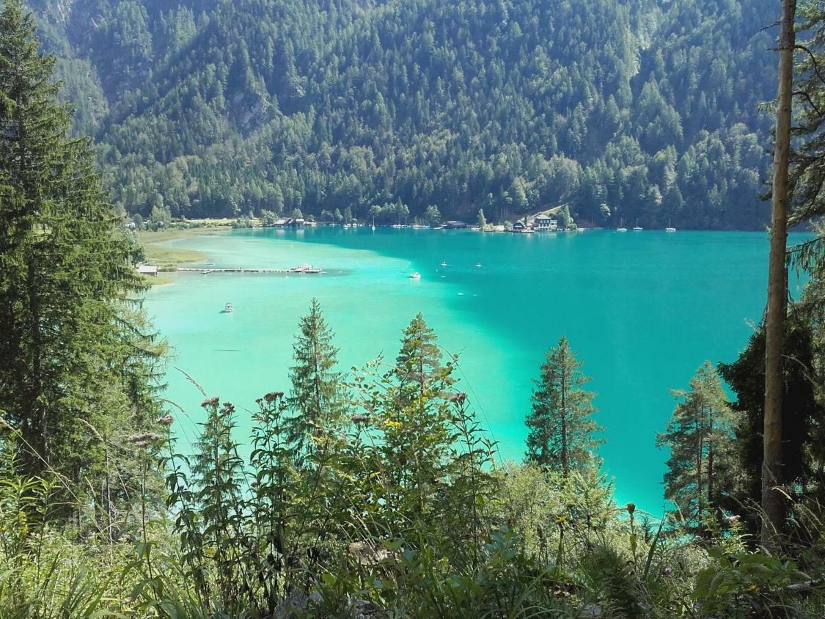 Haus Waldblick * Weissensee